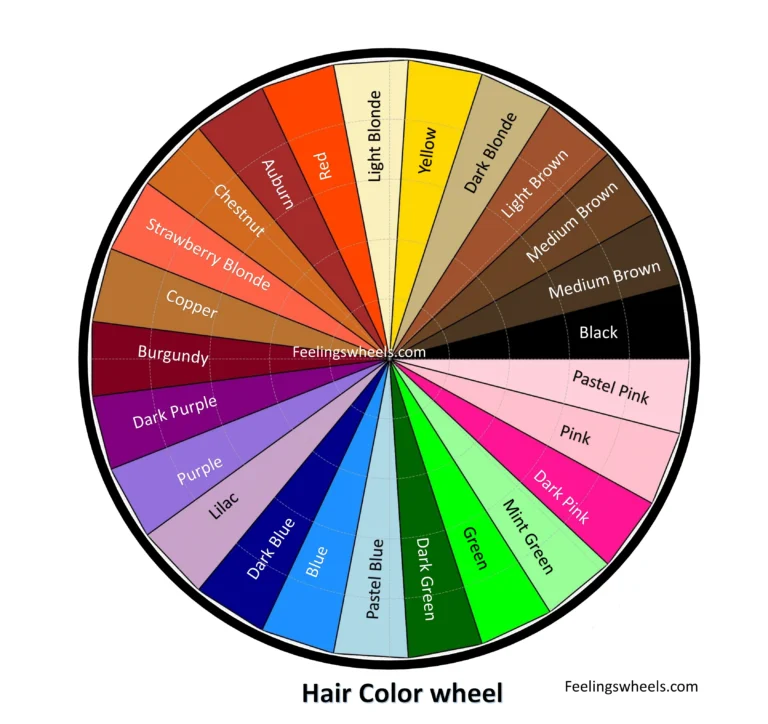 hair color wheel for hairdresser