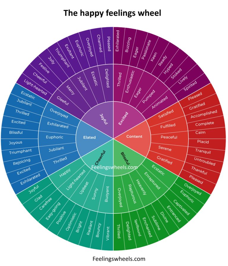 the happy feelings wheel