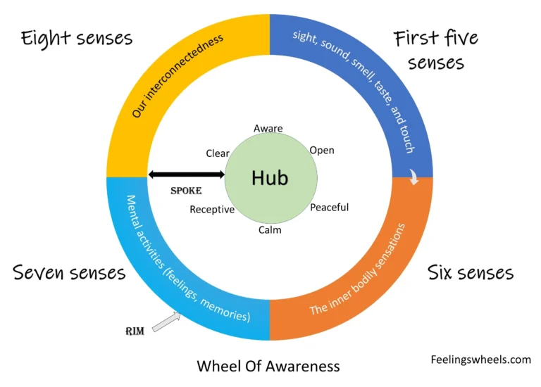 wheel-of-awareness