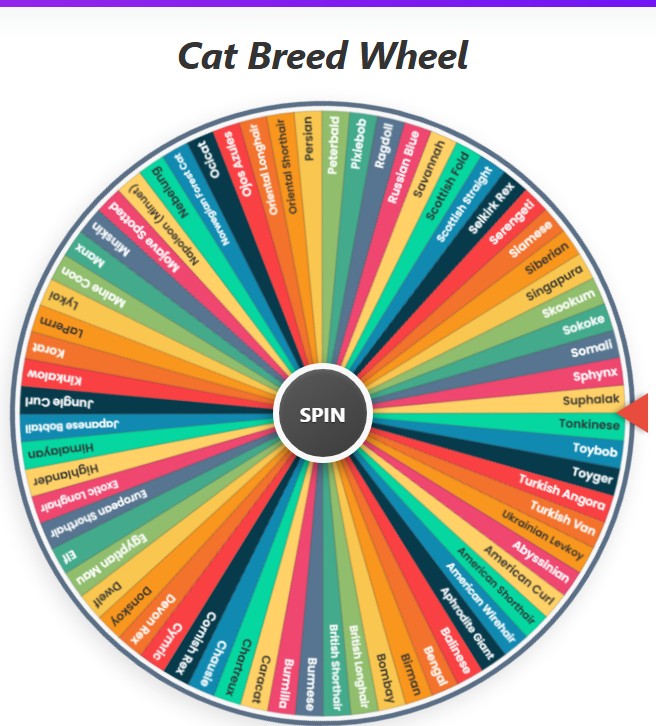 cat breed wheel