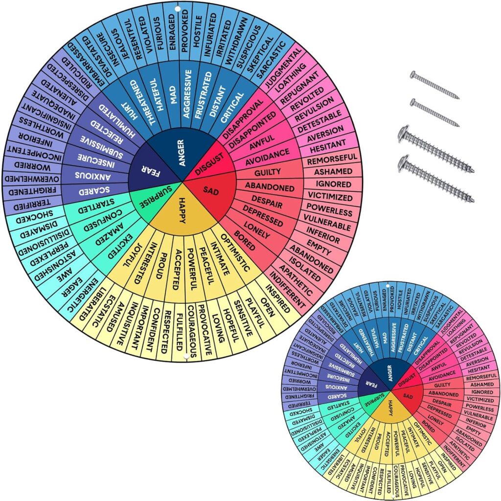 Ferraycle 2 Pack Feelings Wheel